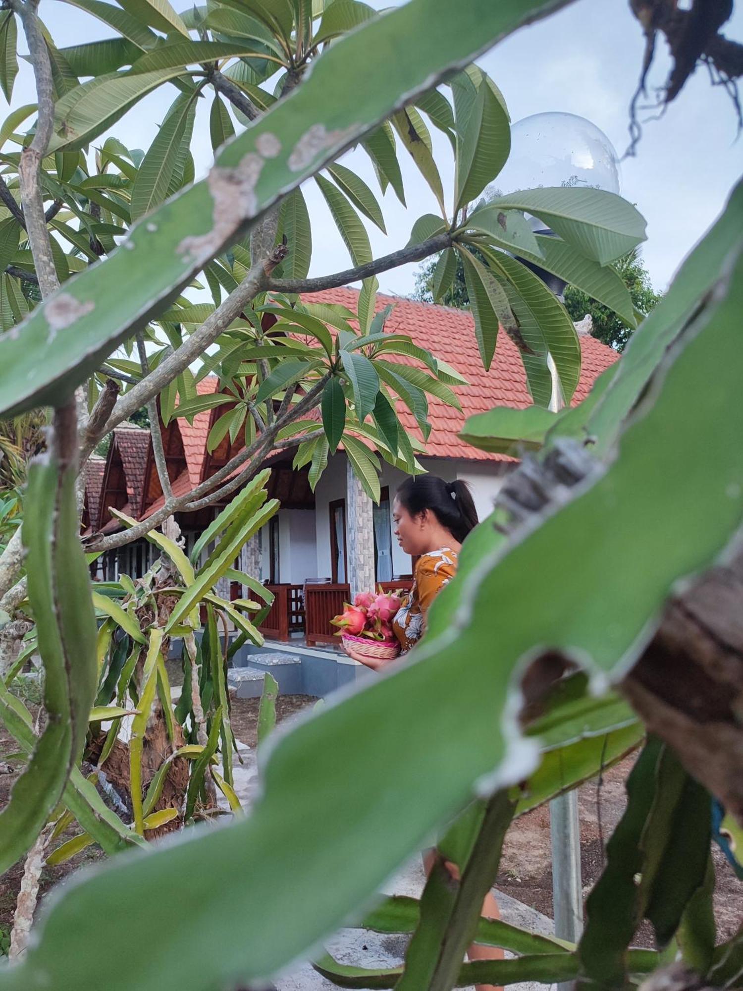 Santhi Guna Bungalow Toyapakeh エクステリア 写真